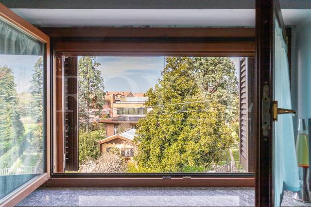 Vista