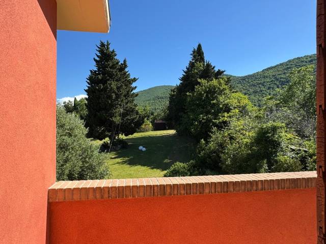 Vista