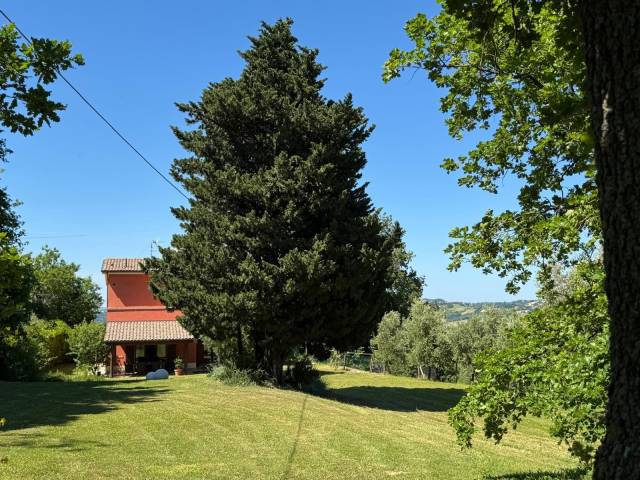 Terreno