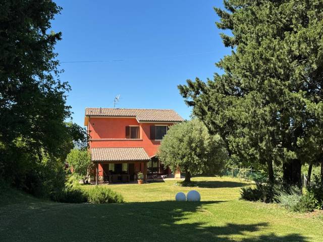 Terreno