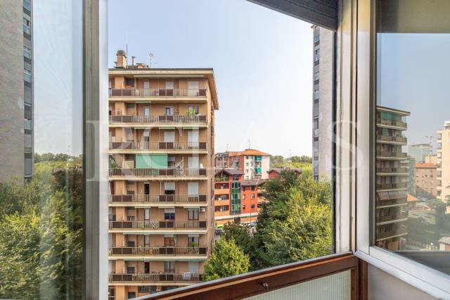 Vista